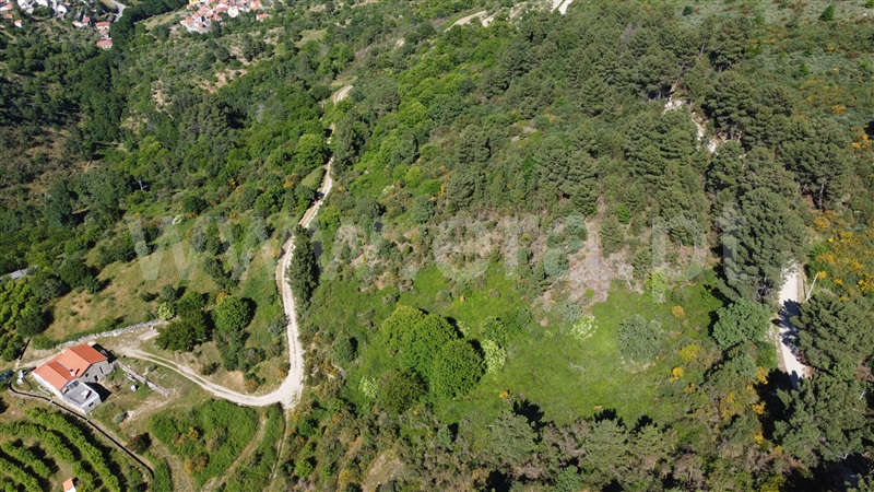 Terreno  Celorico da Beira, Rapa e Cadafaz - 1409817 - 11