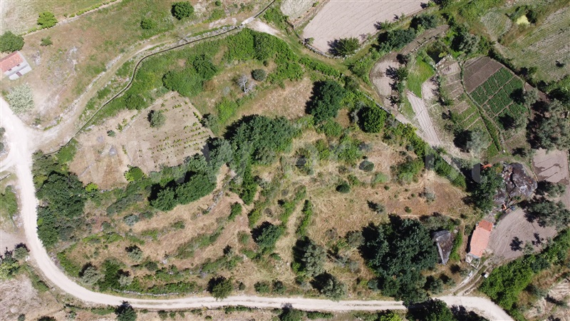 Terreno / Celorico da Beira, Rapa e Cadafaz