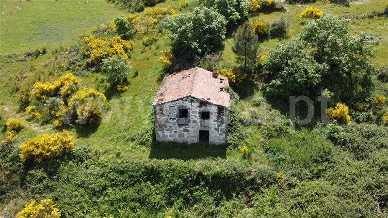 Terreno / Celorico da Beira, Vale de Azares