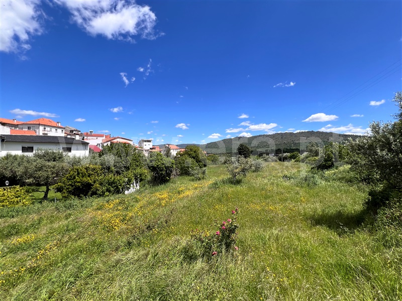 Terreno  Celorico da Beira, Vale de Azares - 1406436 - 6
