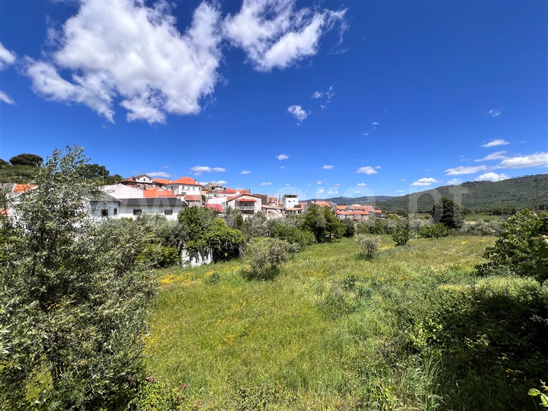 Terreno  Celorico da Beira, Vale de Azares - 1406436 - 8
