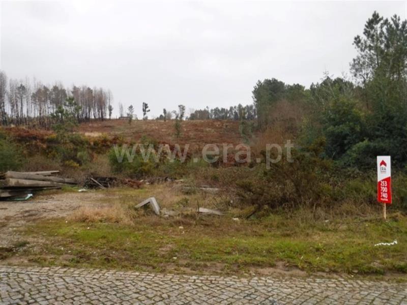 Terreno / Celorico de Basto, Arnóia