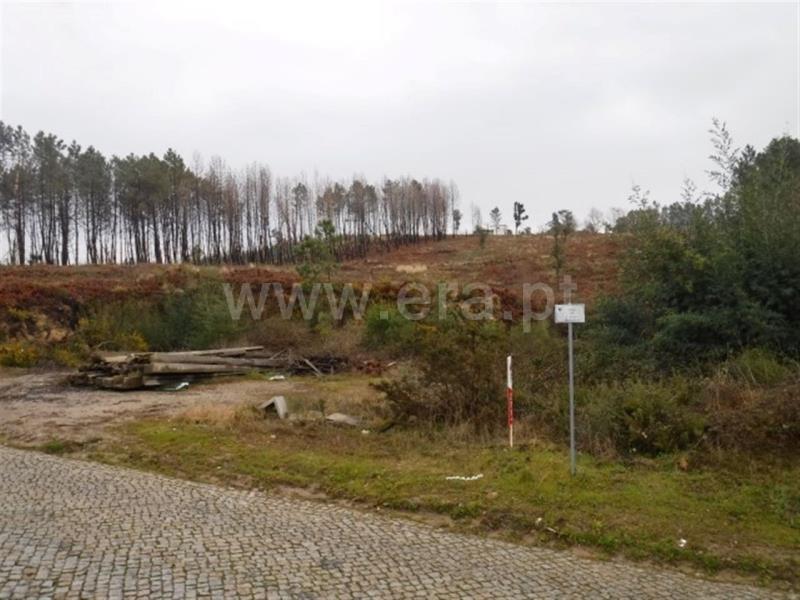 Terreno  Celorico de Basto, Arnóia - 697981 - 2