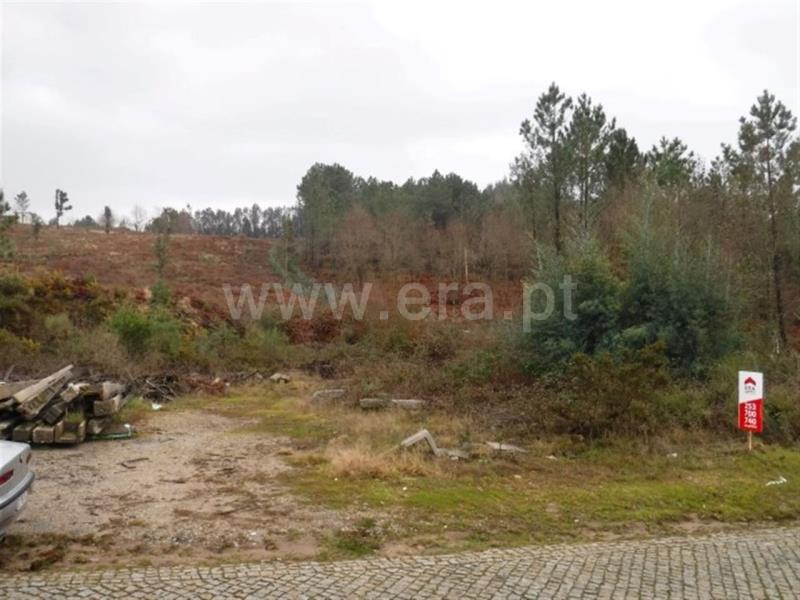 Terreno  Celorico de Basto, Arnóia - 697981 - 3