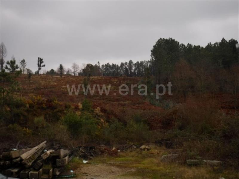 Terreno  Celorico de Basto, Arnóia - 697981 - 4