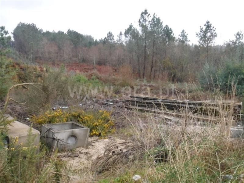 Terreno  Celorico de Basto, Arnóia - 697981 - 5