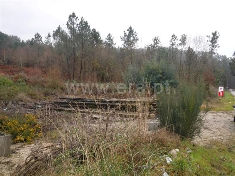 Terreno  Celorico de Basto, Arnóia - 697981 - 6