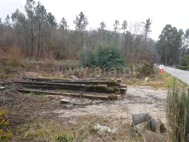 Terreno  Celorico de Basto, Arnóia - 697981 - 7