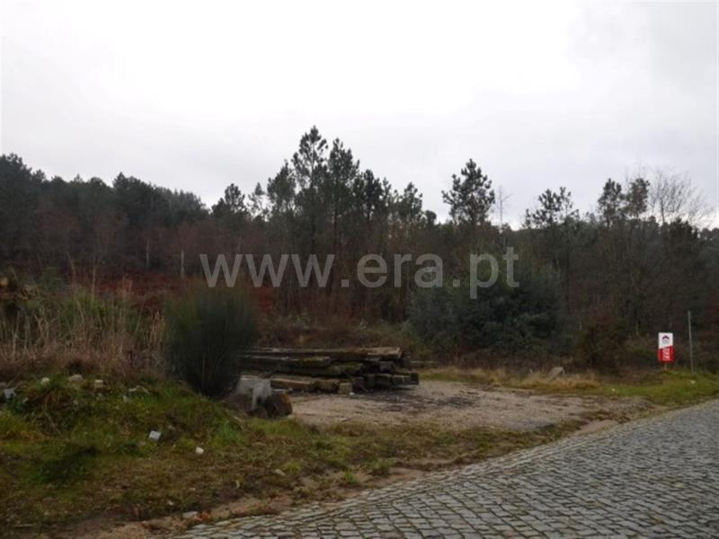 Terreno  Celorico de Basto, Arnóia - 697981 - 8