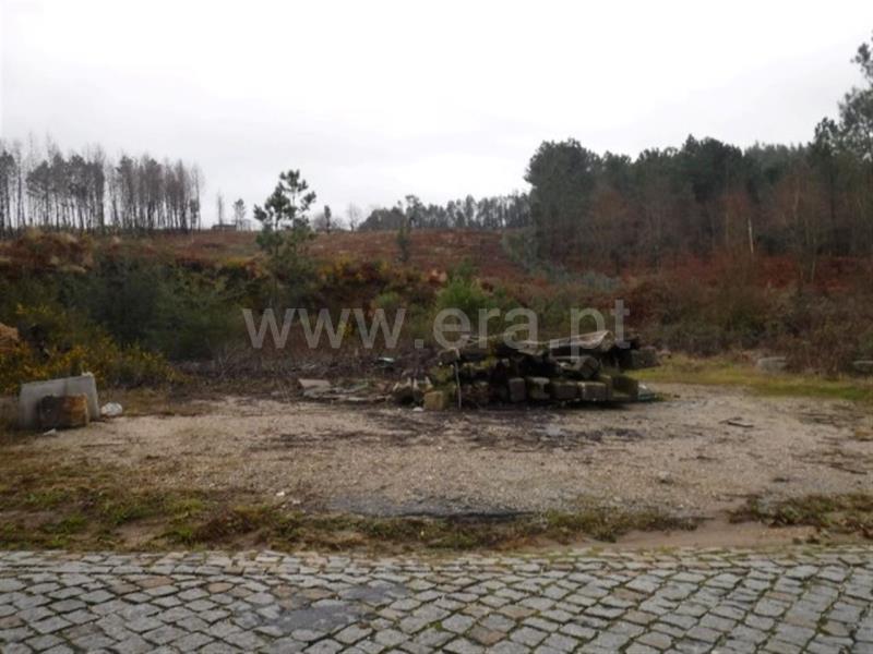 Terreno  Celorico de Basto, Arnóia - 697981 - 9