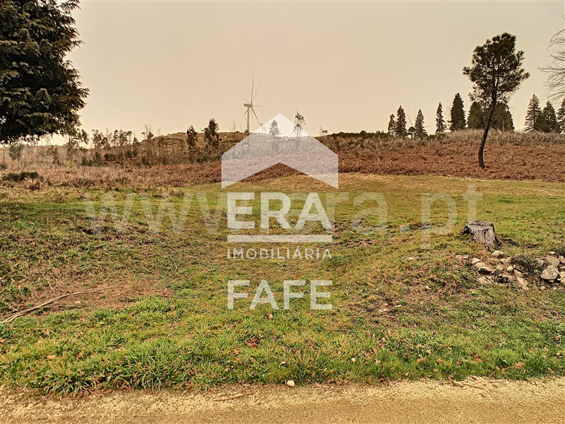 Terreno / Celorico de Basto, Basto (São Clemente)