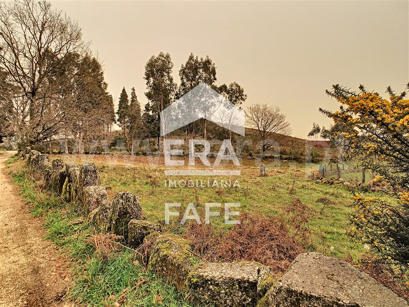 Terreno  Celorico de Basto, Basto (São Clemente) - 1235255 - 4