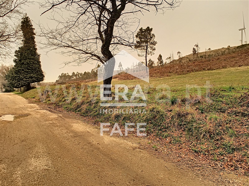 Terreno  Celorico de Basto, Basto (São Clemente) - 1235255 - 5