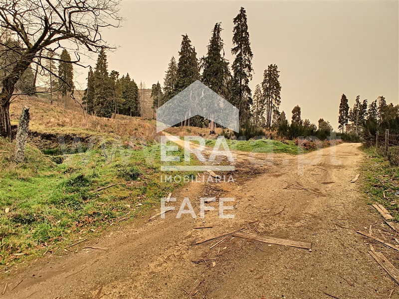 Terreno  Celorico de Basto, Basto (São Clemente) - 1235255 - 6
