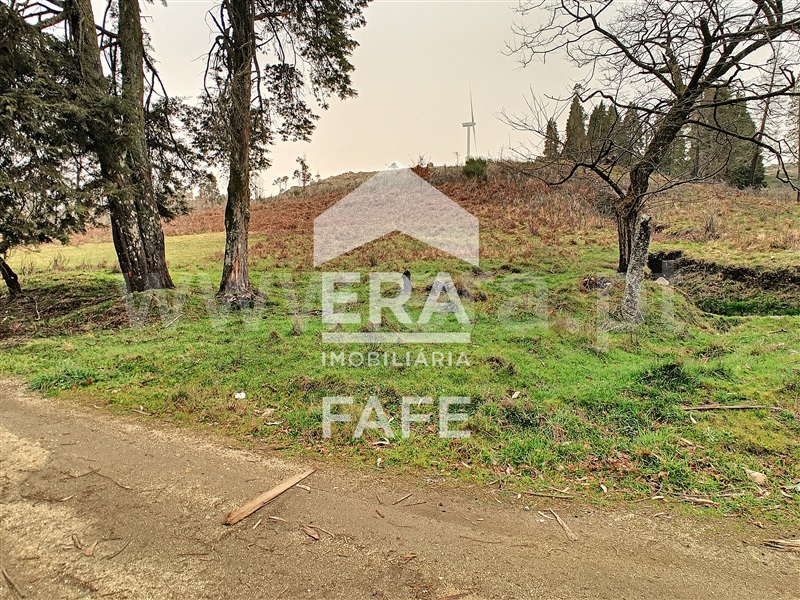 Terreno  Celorico de Basto, Basto (São Clemente) - 1235255 - 7
