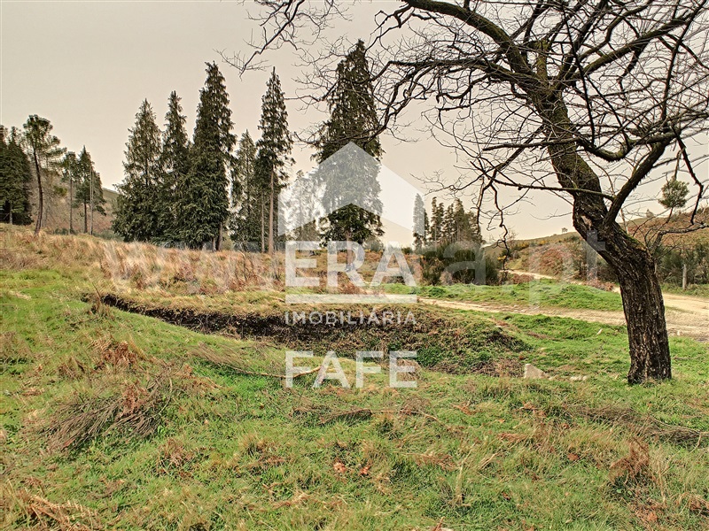 Terreno  Celorico de Basto, Basto (São Clemente) - 1235255 - 9