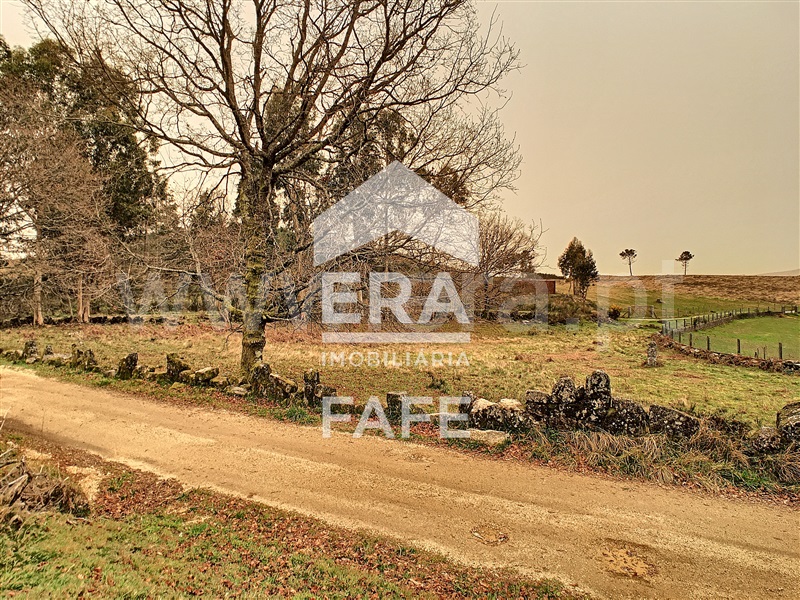 Terreno  Celorico de Basto, Basto (São Clemente) - 1235255 - 12