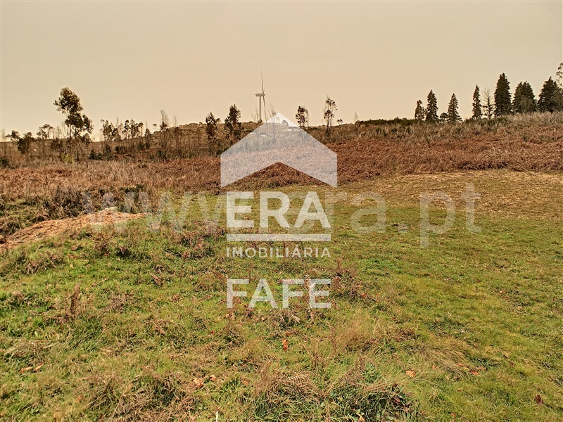 Terreno  Celorico de Basto, Basto (São Clemente) - 1235255 - 13