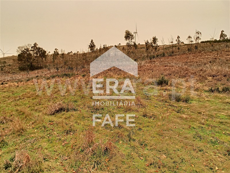 Terreno  Celorico de Basto, Basto (São Clemente) - 1235255 - 15