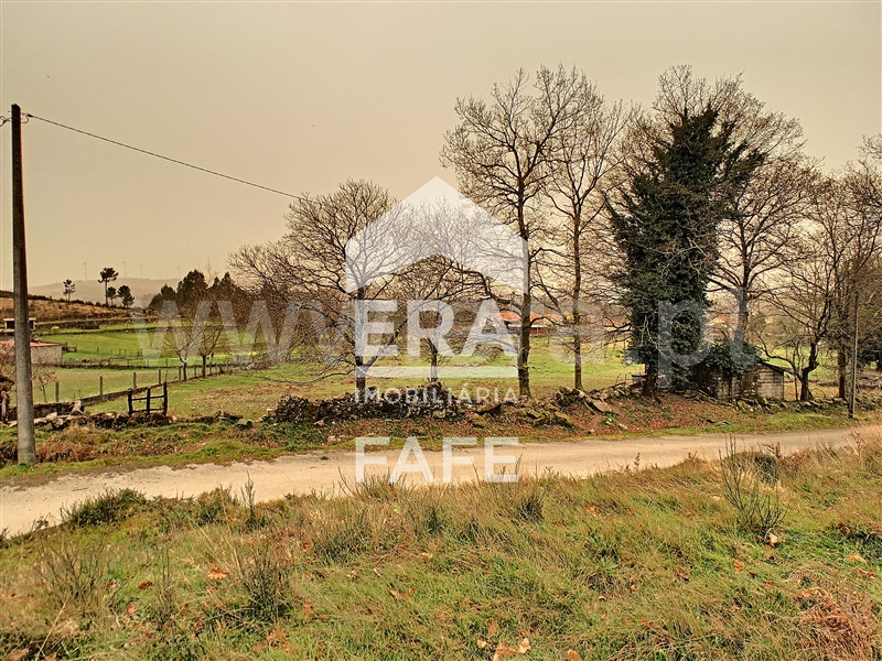 Terreno  Celorico de Basto, Basto (São Clemente) - 1235255 - 16