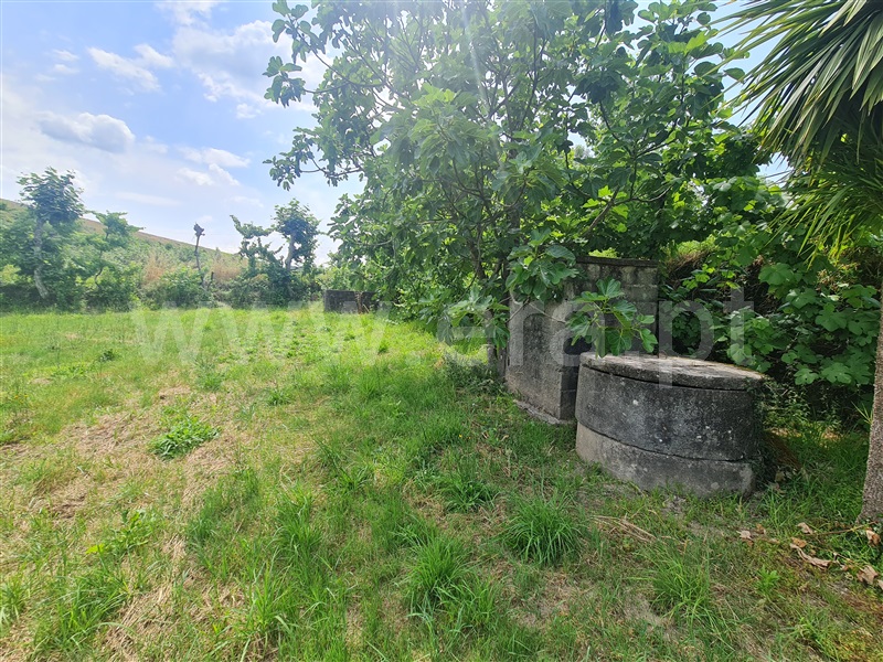 Terreno  Celorico de Basto, Basto (São Clemente) - 1415680 - 3