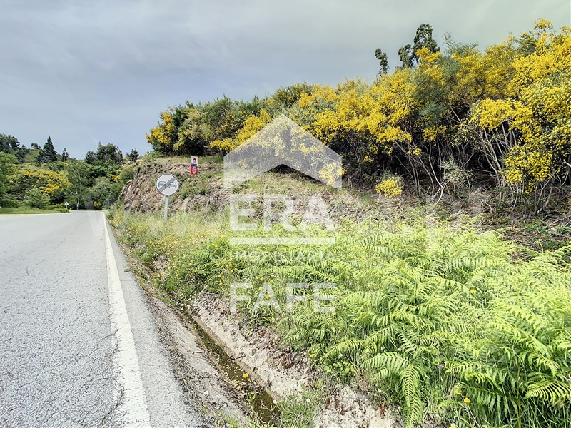 Terreno  Celorico de Basto, Basto (São Clemente) - 639136 - 2