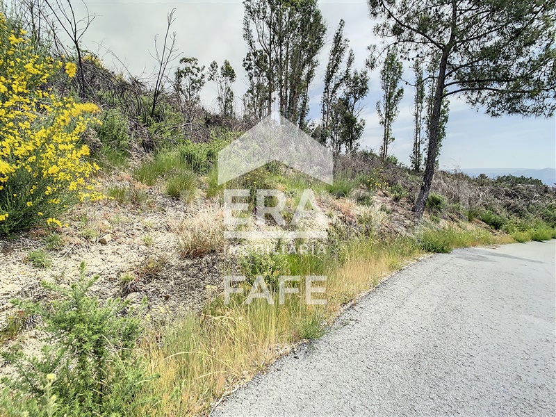 Terreno  Celorico de Basto, Basto (São Clemente) - 639136 - 7