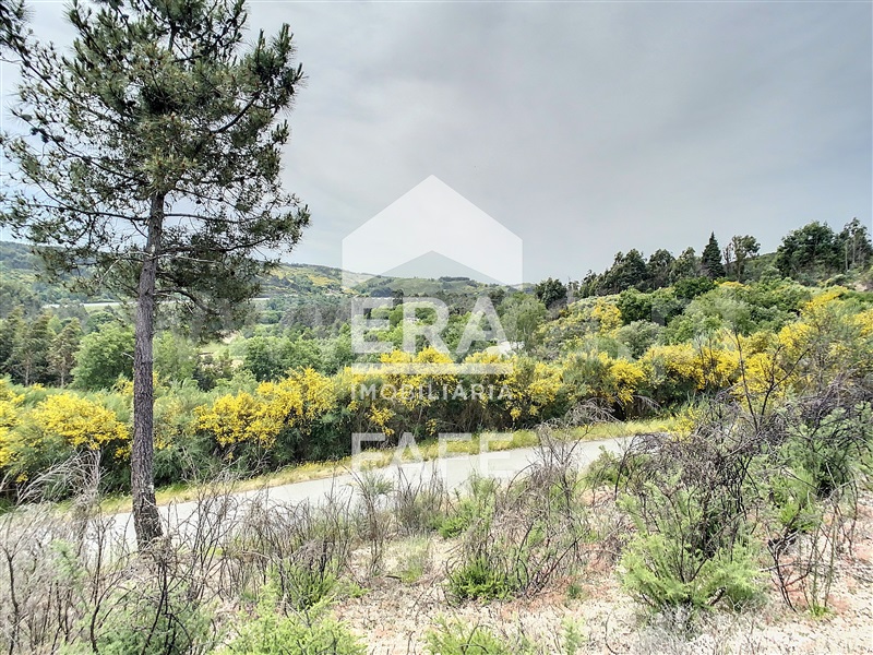 Terreno  Celorico de Basto, Basto (São Clemente) - 639136 - 8