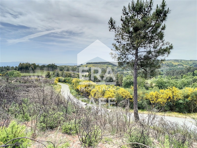 Terreno  Celorico de Basto, Basto (São Clemente) - 639136 - 9