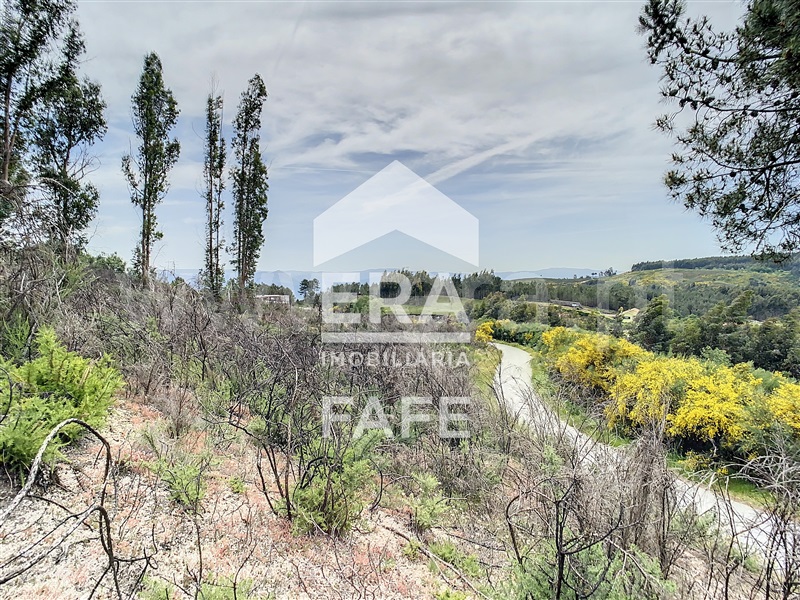 Terreno  Celorico de Basto, Basto (São Clemente) - 639136 - 10