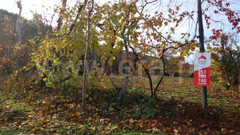 Terreno  Celorico de Basto, Basto (São Clemente) - 873525 - 3
