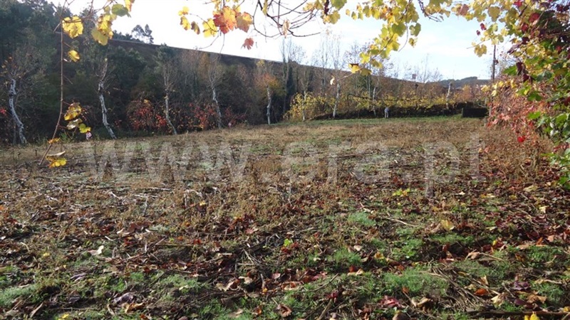 Terreno  Celorico de Basto, Basto (São Clemente) - 873525 - 5