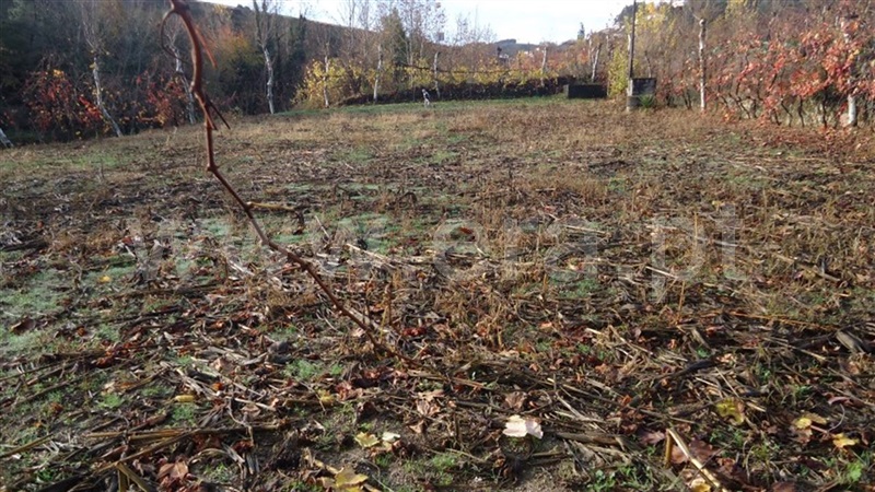 Terreno  Celorico de Basto, Basto (São Clemente) - 873525 - 2