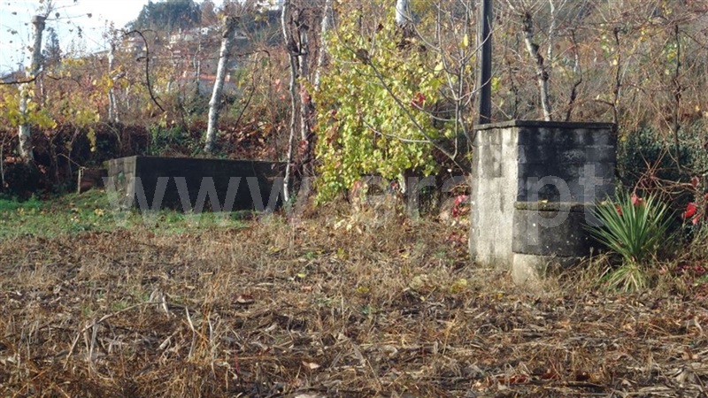 Terreno  Celorico de Basto, Basto (São Clemente) - 873525 - 7