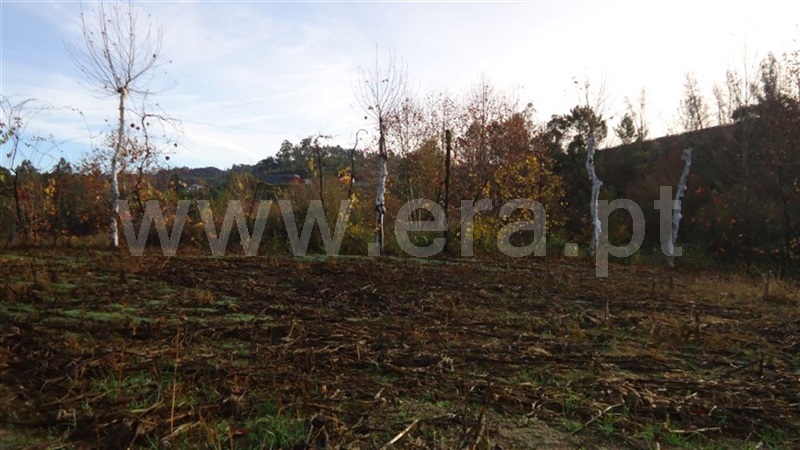 Terreno  Celorico de Basto, Basto (São Clemente) - 873525 - 9