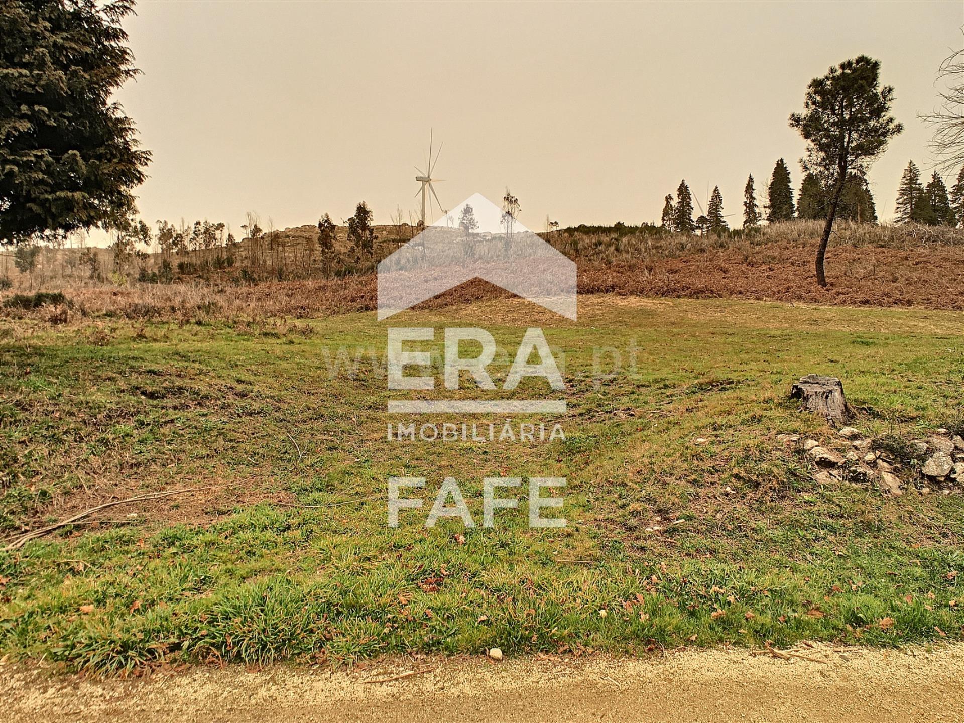 Land for sale in Celorico de Basto, Portugal — €260,000