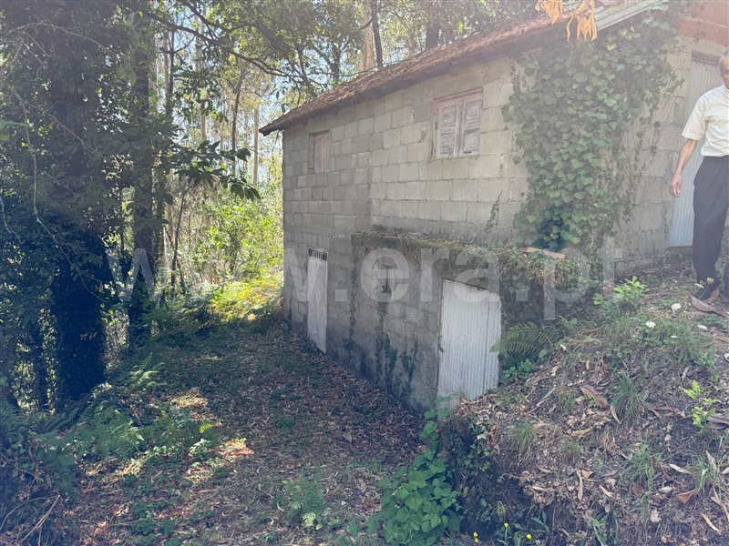 Terreno  Celorico de Basto, Britelo, Gémeos e Ourilhe - 1513545 - 4
