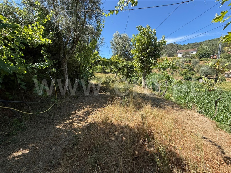 Terreno  Celorico de Basto, Britelo, Gémeos e Ourilhe - 1513545 - 6