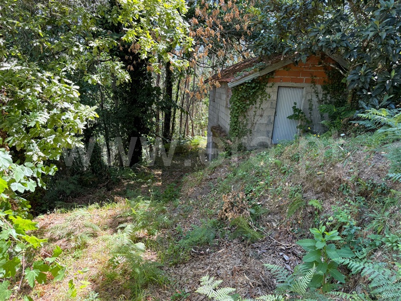Terreno  Celorico de Basto, Britelo, Gémeos e Ourilhe - 1513545 - 8