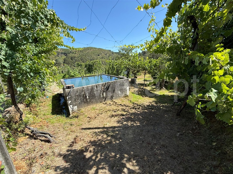 Terreno  Celorico de Basto, Britelo, Gémeos e Ourilhe - 1513545 - 9