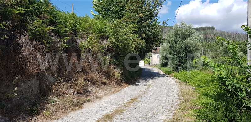 Terreno  Celorico de Basto, Canedo de Basto e Corgo - 1027872 - 2