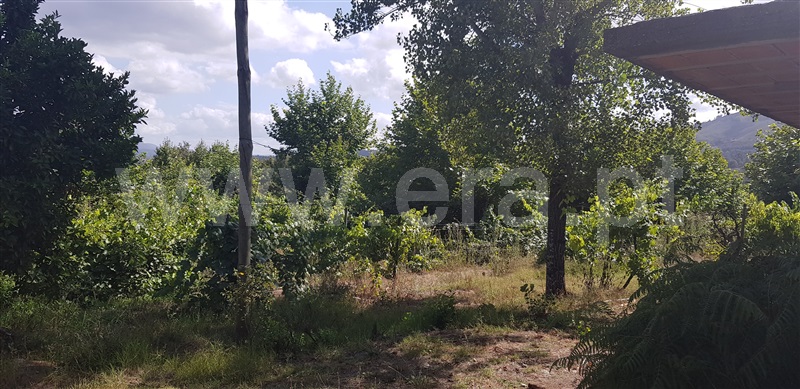 Terreno  Celorico de Basto, Canedo de Basto e Corgo - 1027872 - 8