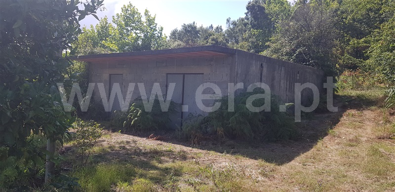 Terreno  Celorico de Basto, Canedo de Basto e Corgo - 1027872 - 12