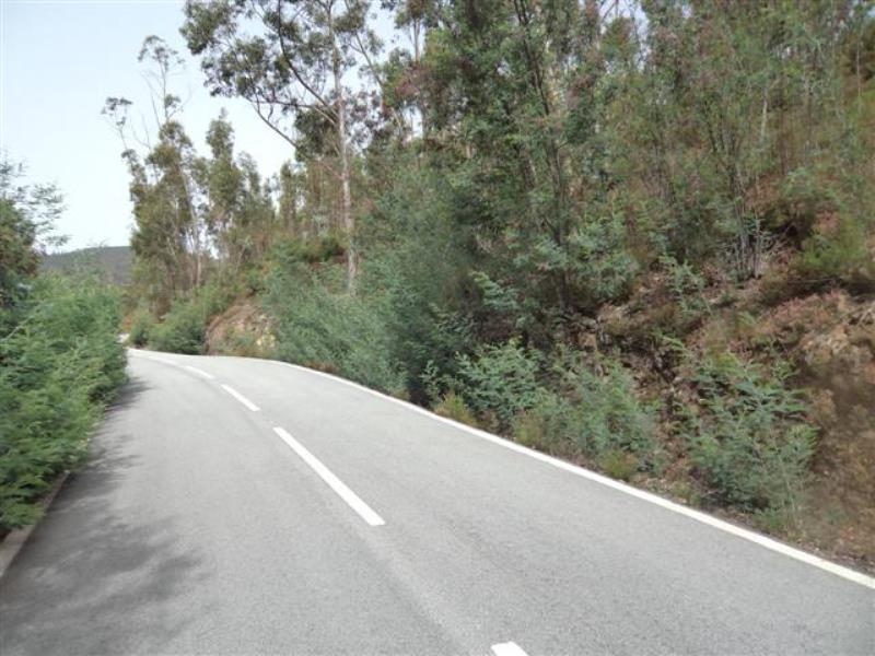 Terreno  Celorico de Basto, Celorico de Basto - 459855 - 5