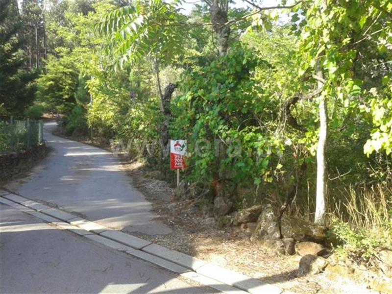 Terreno  Celorico de Basto, Codeçoso - 677584 - 3