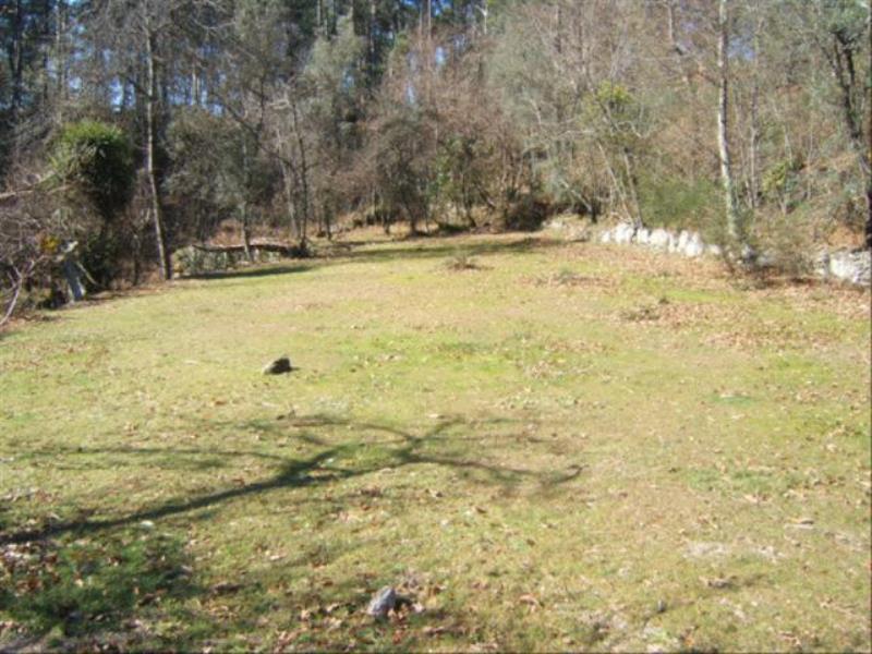 Terreno / Celorico de Basto, Fervença
