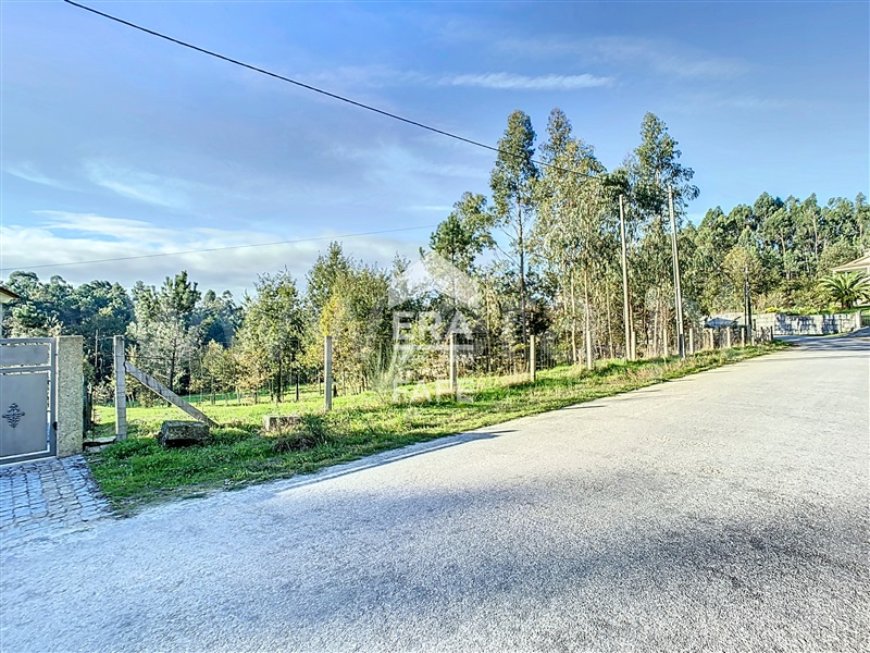 Terreno  Celorico de Basto, Rego - 1444419 - 2