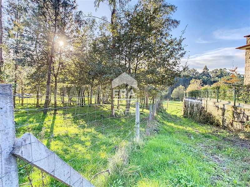 Terreno  Celorico de Basto, Rego - 1444419 - 5