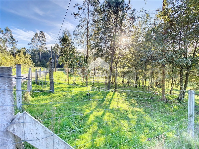 Terreno  Celorico de Basto, Rego - 1444419 - 6