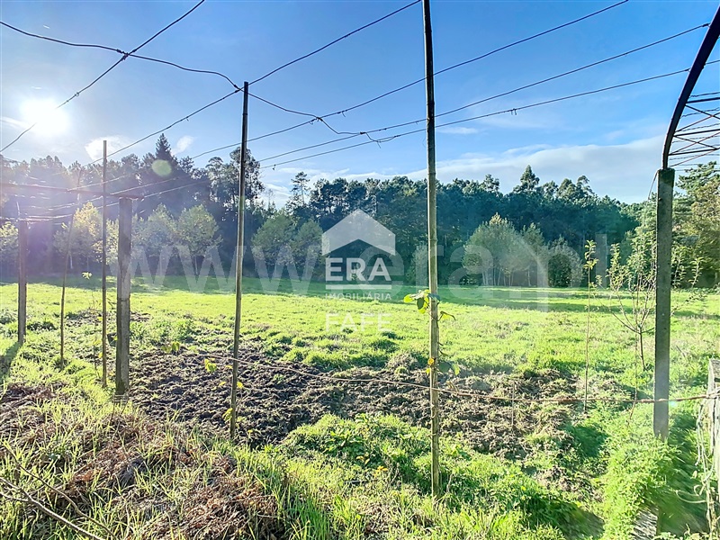 Terreno  Celorico de Basto, Rego - 1444419 - 8